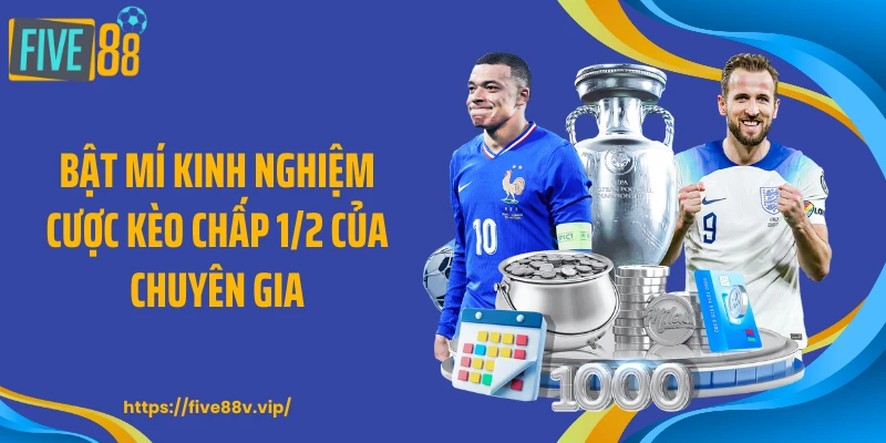 Bật mí kinh nghiệm cược kèo chấp 1/2 của chuyên gia
