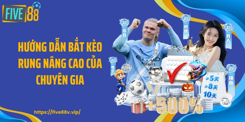 Hướng dẫn bắt kèo rung nâng cao của chuyên gia